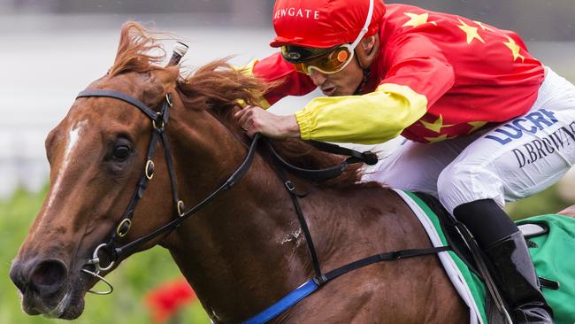 Neutrality made a big impression on debut at Rosehill on Saturday. Picture: Jenny Evans