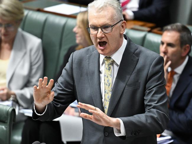 CANBERRA, AUSTRALIA  - NewsWire Photos - March 26, 2025: Leader of the House, Minister for Home Affairs and Minister for the Arts, Tony Burke during Question Time at Parliament House in Canberra. Picture: NewsWire / Martin Ollman