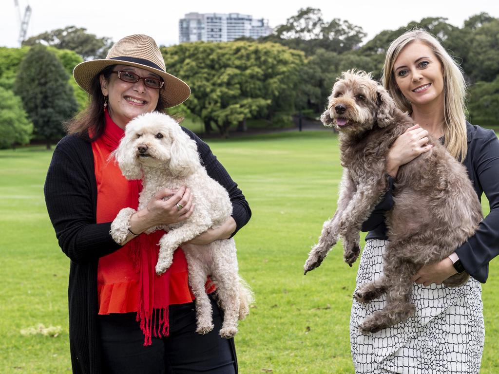 Domestic violence survivor Talie Star (left) and Animal Justice Party MLC Emma Hurst with rescue dogs Ziggi and Frankie. Picture: NCA NewsWire/ Monique Harmer