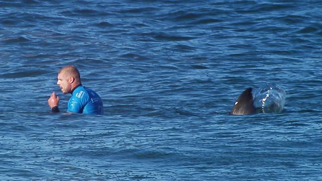 Mick Fanning shortly before being attacked by a shark. Picture: AFP