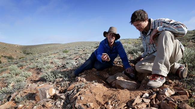 Palaeobiologist Professor Mary Droser from the University of California in the field at Nilpena with student Scott Evans.