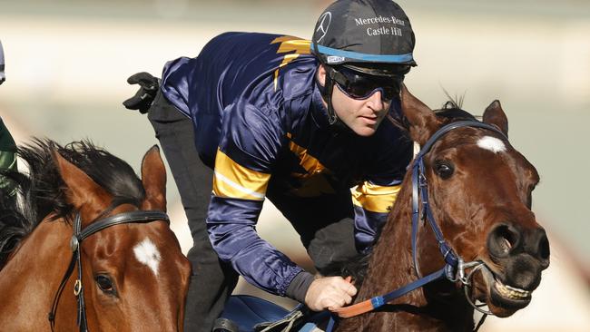 SYDNEY, AUSTRALIA - AUGUST 04: Tommy Berry on Masked Crusader competes in heat 8 during Sydney barrier trials at Rosehill Gardens on August 04, 2020 in Sydney, Australia. (Photo by Mark Evans/Getty Images)