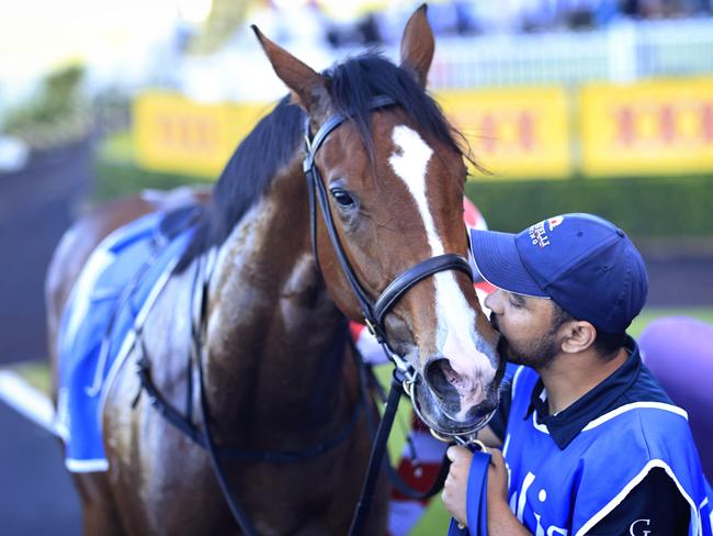 SYDNEY, AUSTRALIA - NOVEMBER 06: Sejardan is kissed by its  strapper after winning race 7 the Inglis Rural Property Golden Gift during Sydney Racing at Rosehill Gardens on November 06, 2021 in Sydney, Australia. (Photo by Mark Evans/Getty Images)