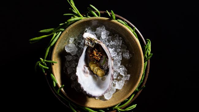 Oyster, horseradish, desert lime at Restaurant Botanic, Adelaide. Picture: Jon Wah