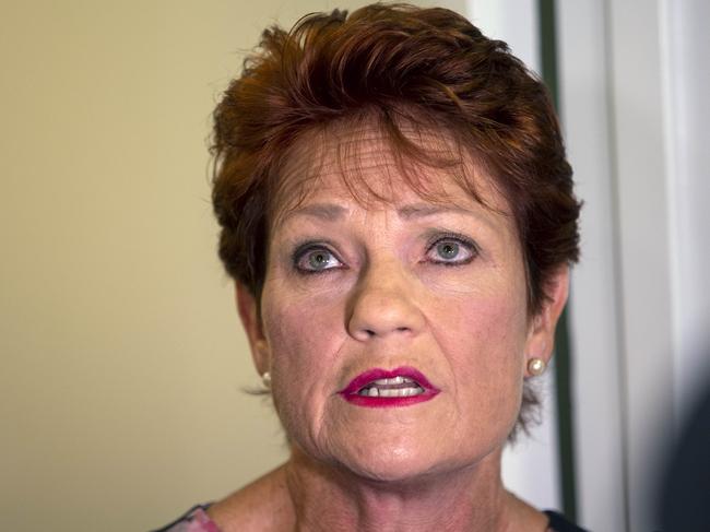 Pauline Hanson’s claims on family law were downplayed at the inquiry. Picture: Gary Ramage