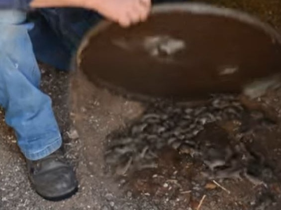 Trundle Central School groundskeeper John Grady showing the extent of the mouse problem.