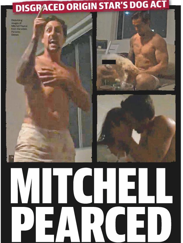 Mitchell Pearce was banned for eight matches after simulating a sex act with a dog in 2016.