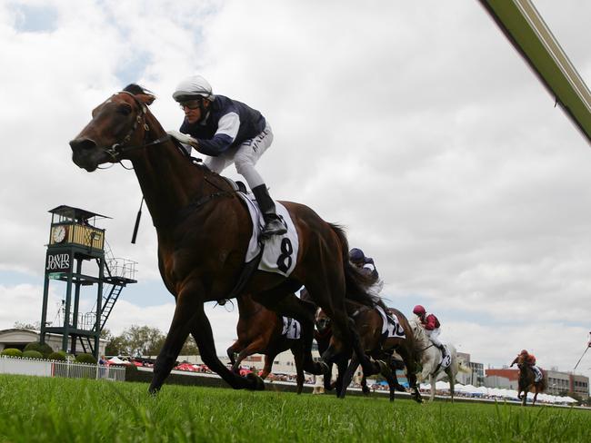 Nick Hall had his rivals chasing a long way from home in the opening race at Caulfield. Picture: Michael Klein