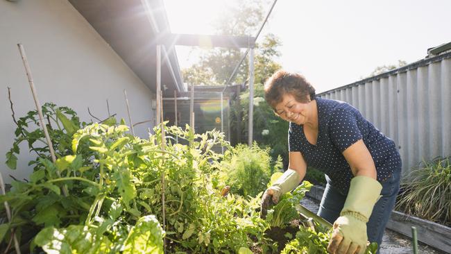 The pandemic has seen a rise in Australians cultivating backyard vegetables.