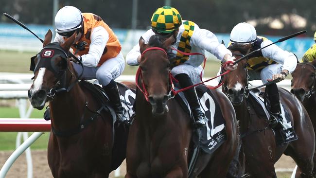 SYDNEY, AUSTRALIA - MAY 03: Chad Schofield riding  City Of Lights win Race 7 Pioneer Services Hawkesbury Crown during Metro Racing at Hawkesbury Race Club on May 03, 2025 in Sydney, Australia. (Photo by Jeremy Ng/Getty Images)