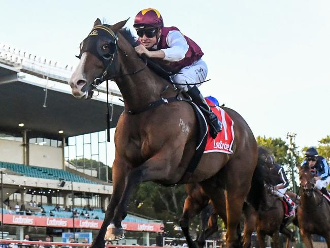 Streets of Avalon ridden by Zac Spain wins the Ladbrokes Australia Stakes at Moonee Valley Racecourse on January 22, 2021 in Moonee Ponds, Australia. (Brett Holburt/Racing Photos via Getty Images)