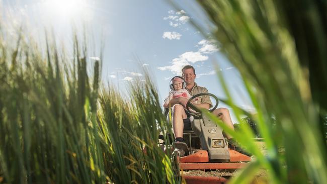 Ash Teasdale and his daughter June, 8 months, prepare for the barley banquet. Picture: Zoe Phillips