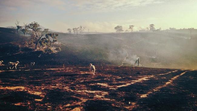 Scott Pape's house was destroyed and his farm decimated in raging bushfires in 2014.