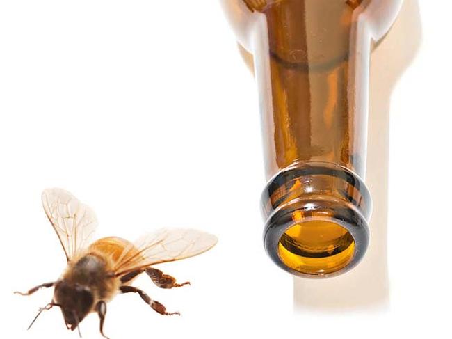 TWAM-20160416 EMBARGO FOR TWAM 16 April 2016 Bottle and bee Pic : iStock