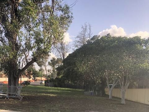 A local grassed area on the corner of King St and Thurston St in Penrith.