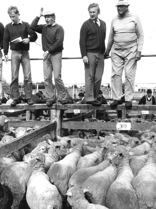 Auctioning sheep at Geelong saleyards in 1982.