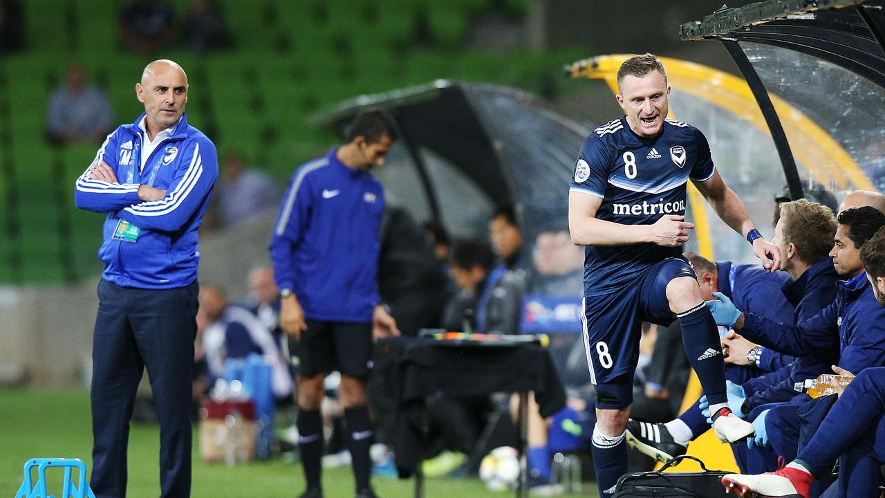 Former hero Besart Berisha could take on Melbourne Victory in the ACL