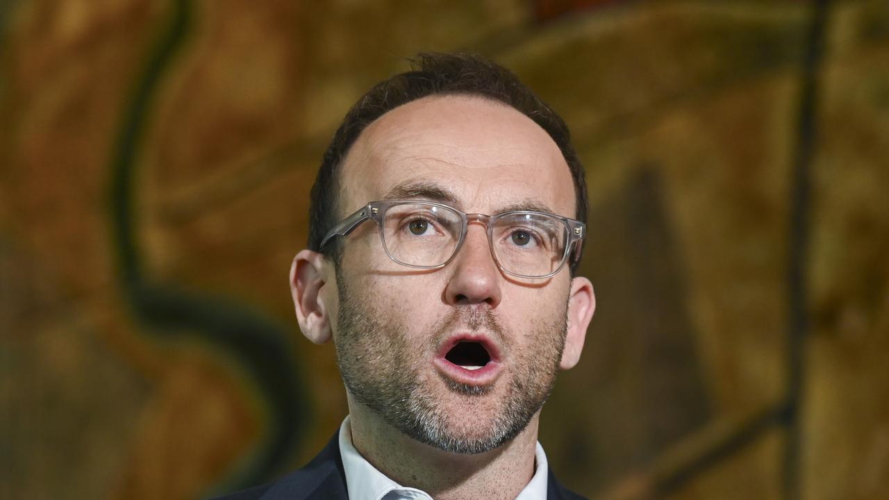Jewish leaders have condemned the Greens. Picture: NCA NewsWire / Martin Ollman