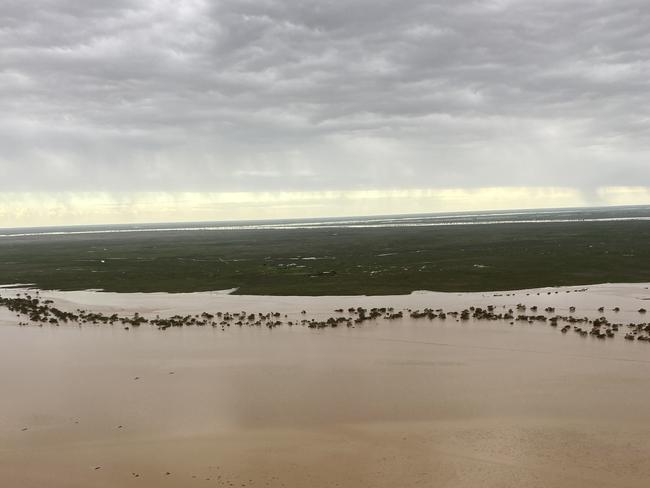 Gilliat River at Cairo Station McKinlay flooded after Cyclone Kirrily