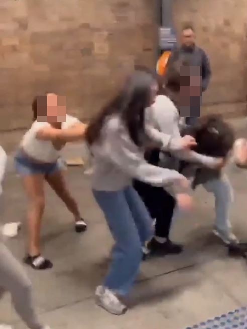 Forty seconds of the fight showed the girls shoving, hitting and screaming at each other.