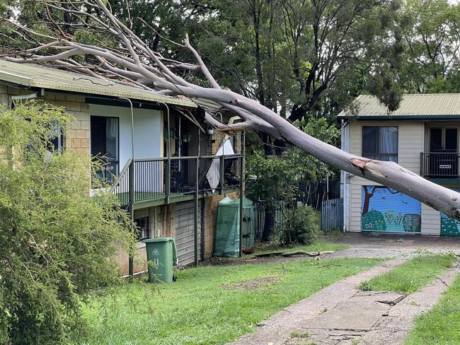 Carnage and aftermath of the Boxing Day storms through Gympie, Scott Kovacevic