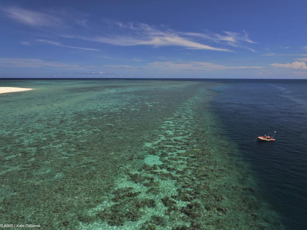 Images of the health of the Great Barrier Reef, coinciding with the release of the 2024 Reef Long-Term Monitoring Program. Australian Institute of Marine Science