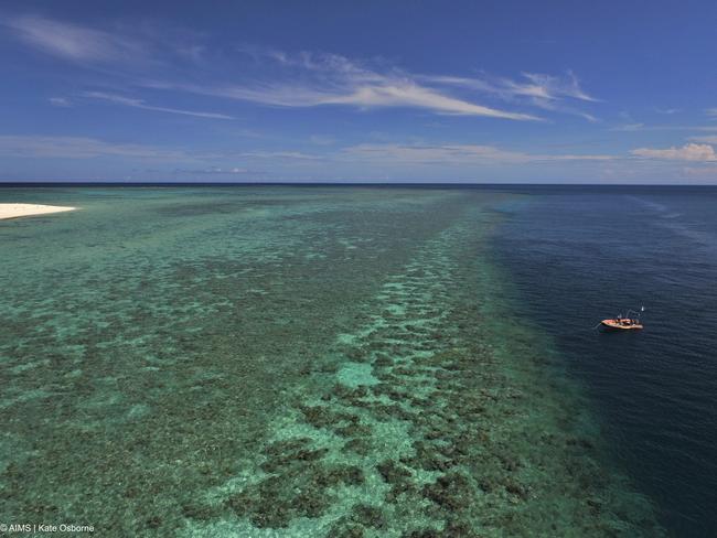 Images of the health of the Great Barrier Reef, coinciding with the release of the 2024 Reef Long-Term Monitoring Program. Australian Institute of Marine Science