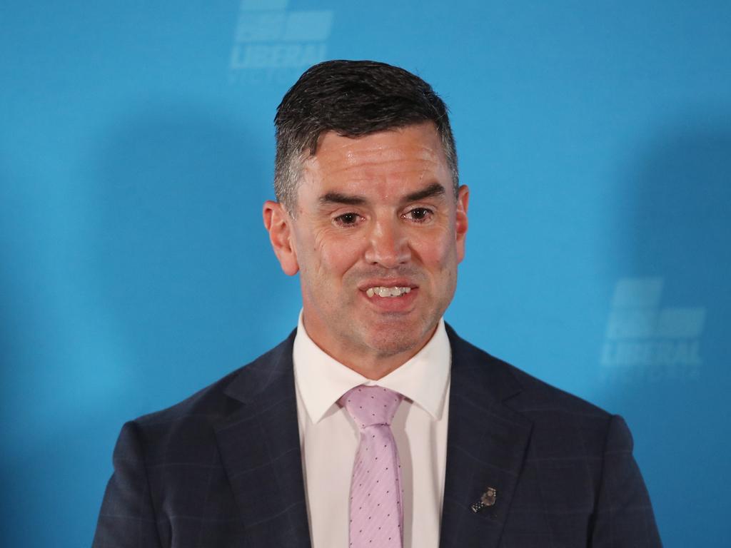 Opposition Leader Brad Battin says the Liberal Party does not support the Bill in its current form. Picture: David Crosling