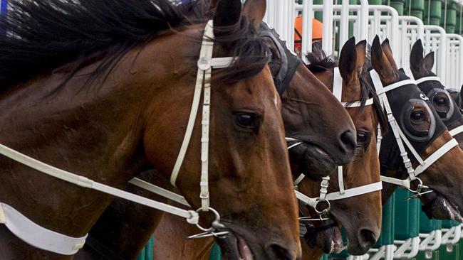 A Toowoomba judge has lashed the proceedings of trial between two horseracing couples. Pic Jenny Evans