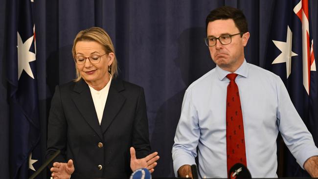 Opposition Leader Sussan Ley and Nationals leader David Littleproud at Parliament House on Wednesday. Picture: Martin Ollman/NewsWire