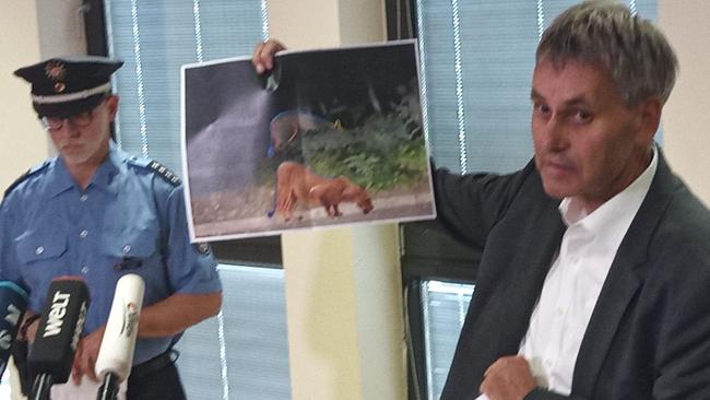 German officials held up an image of the animal mocked up against a picture of a lioness.