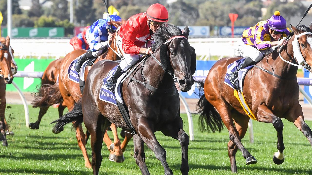 The Prodigal Son will return to Flemington for Saturday's Group 3 Standish Handicap. Picture: Racing Photos via Getty Images