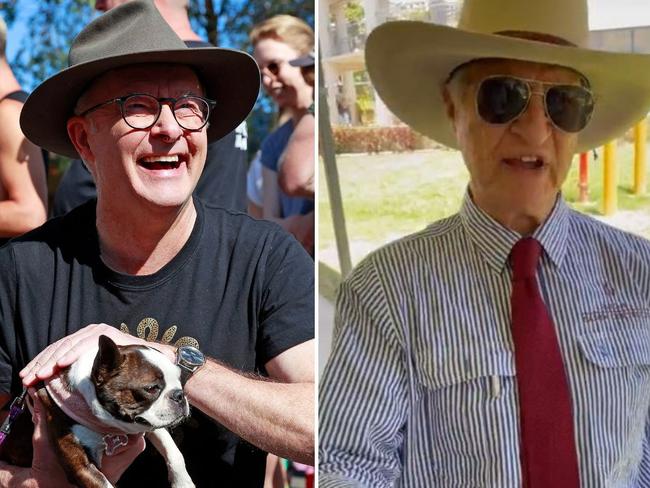 Albo and Katter on Voice voting day