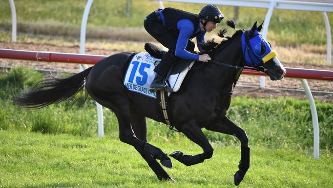 Damian Lane rides Mer De Glace during a trackwork session at Werribee. Picture: AAP