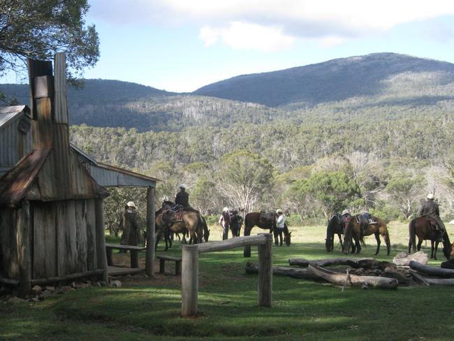 Open spaces, brumbies, wildlife and fresh, fresh air. Snowy Mountains. Picture: Linda Silmalis