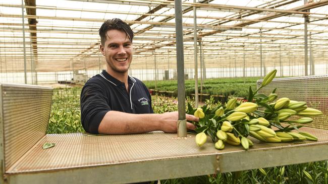 Luke de Wit has taken over his family business Burleigh Flowers, at Silvan. Pictured cutting LA Lillies.Photo: DANNIKA BONSER