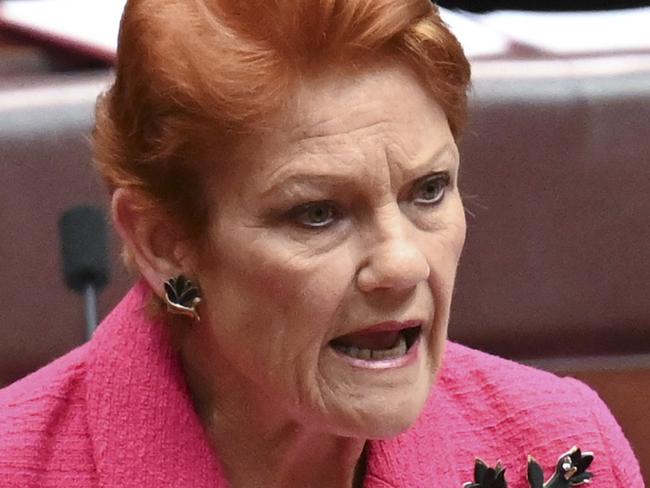 CANBERRA, Australia - NewsWire Photos - September 17, 2024: Senator Pauline Hanson in the Senate at Parliament House in Canberra. Picture: NewsWire / Martin Ollman