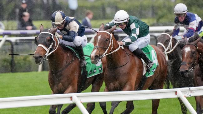 Buckaroo (left) finishing second to Via Sistina in the Group 1 Turnbull Stakes. Picture: George Sal/Racing Photos via Getty Images