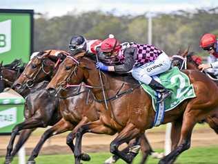 TIGHT LINE: Jockey James Orman managed to get Ziemba to the winning post at the right time. Picture: Cordell Richardson