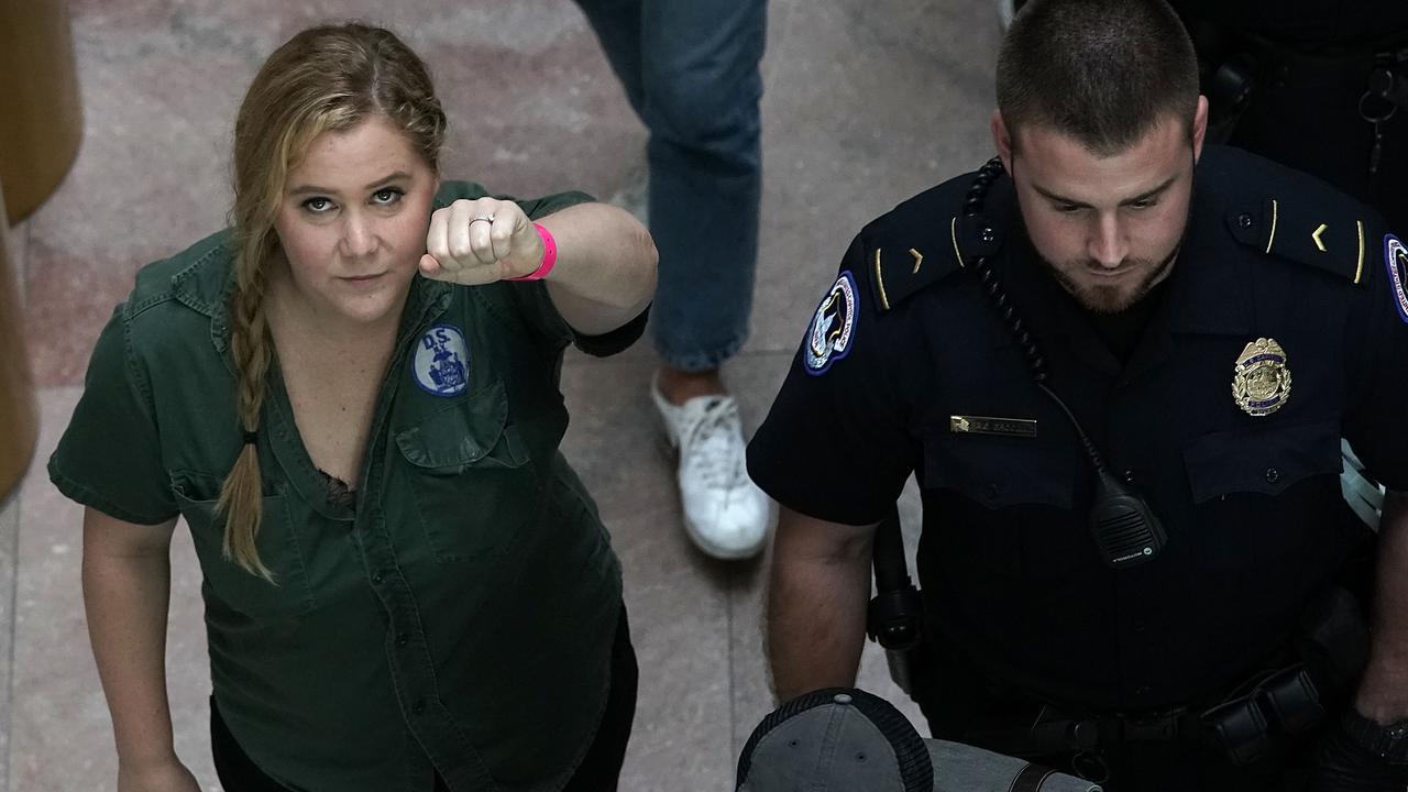 Amy Schumer (L) is led away by police. Picture: Getty