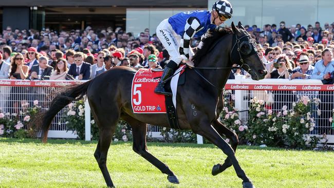 Last years winner Gold Trip is hoping to go back-to-back. Photo by George Sal/Racing Photos via Getty Images