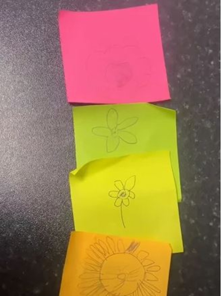 They drew the flowers onto post-it notes. Picture: Tiktok/@emilymcneill