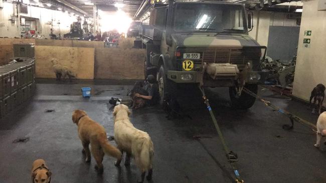 Dogs aboard HMAS Choules as it makes its way back to Hastings from Mallacoota. Picture: Cassandra Smith