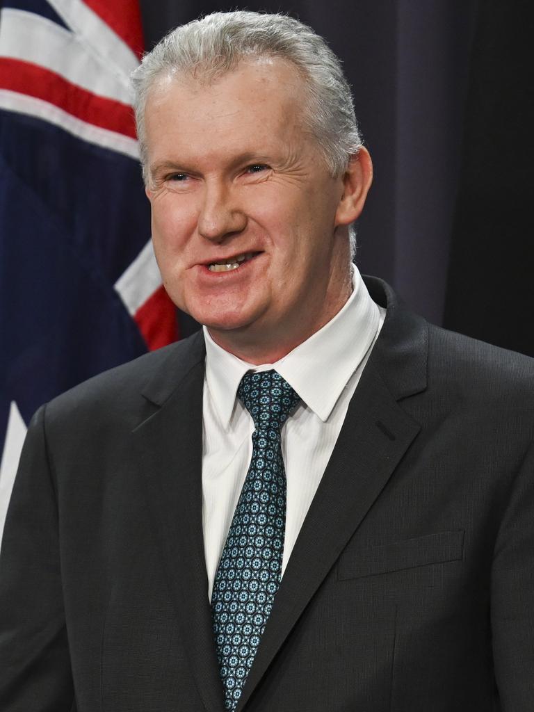 Employment and Workplace Relations Minister Tony Burke. Picture: NewsWire / Martin Ollman