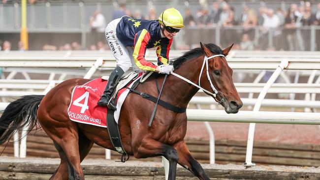 Victoria Derby winner Goldrush Guru resumes in the Durbridge Stakes at Morphettville on Saturday. Picture: Morgan Hancock/Racing Photos via Getty Images