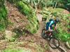 Calls mounting to stop logging in prime biking forests