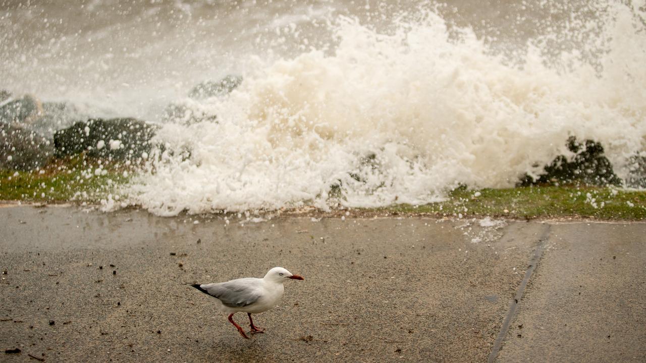 Jorge Nieto captured these photos of the King Tide hitting the Peninsula. FOR REDCLIFFE HERALD