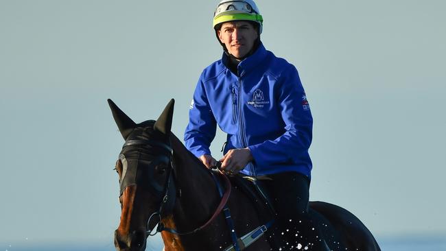 Winx has a session Altona beach in Melbourne as she prepares for the Cox Plate