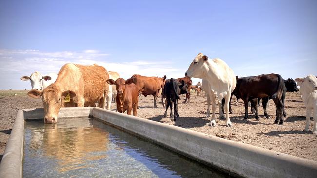 While the decision to sign the pledge came as a surprise, the need to reduce methane emissions has been long foreseen.