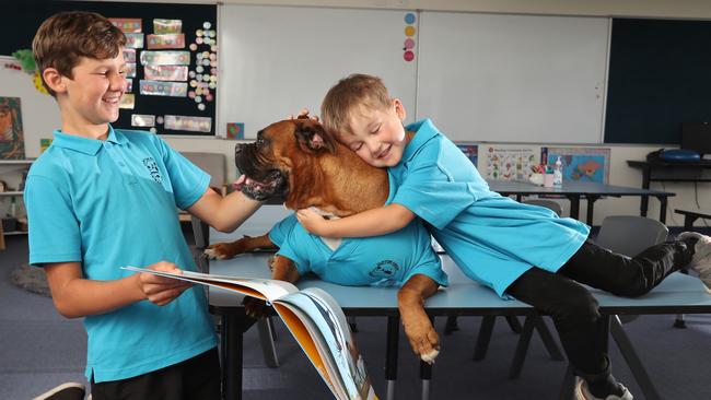 Brothers Jake, 11, and Joey, 5 both lost their family home to fire last year. Joey is starting this year, with their dog Boss. Picture: Alex Coppel.